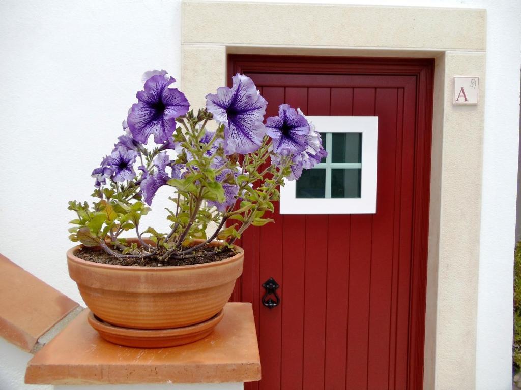 Casa Do Largo - Golega - Turismo De Habitacao 호텔 외부 사진